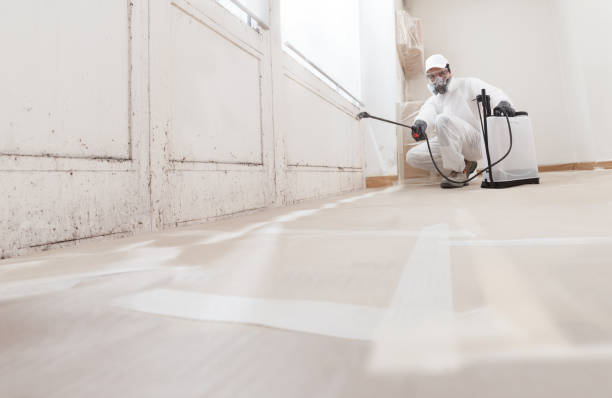 24/7 Emergency Mold Remediation experts in Oregon City, OR