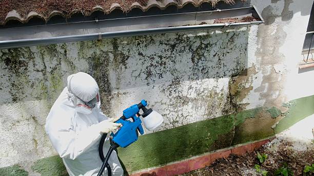 Top rated local Mold Remediation specialists in Oregon City, OR